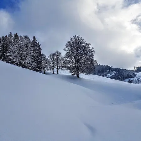 Selbstversorgerhuette Noesslau Alm Дом отдыха Динтен-ам-Хохкёниг