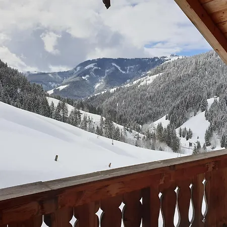 Дом отдыха Selbstversorgerhuette Noesslau Alm *