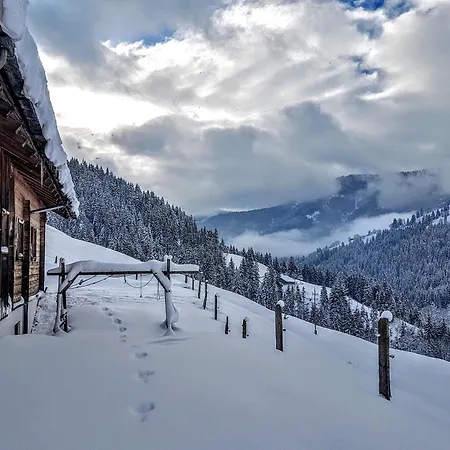 Ferienhaus Selbstversorgerhütte Nösslau Alm Dienten am Hochkönig