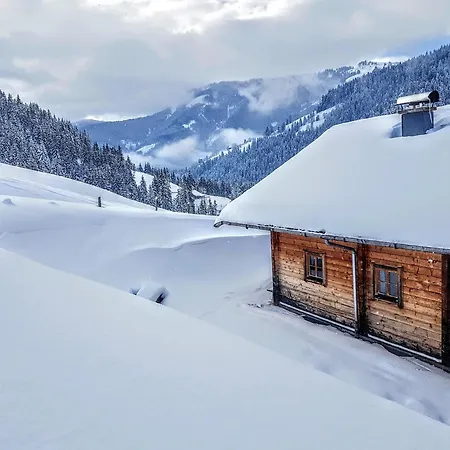 Дом отдыха Selbstversorgerhuette Noesslau Alm