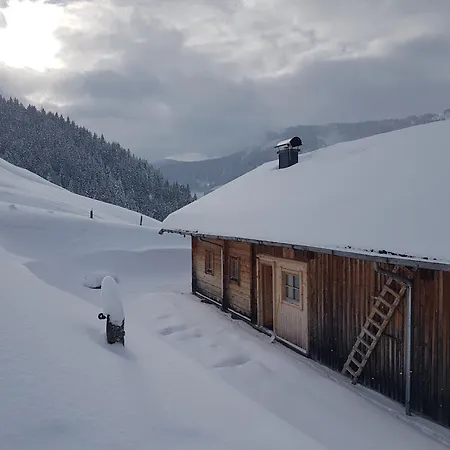 Selbstversorgerhuette Noesslau Alm Дом отдыха Динтен-ам-Хохкёниг