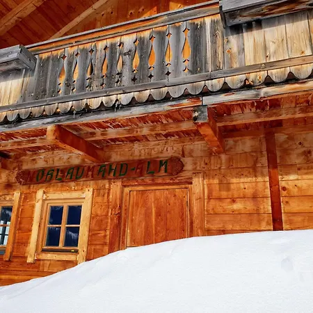 Selbstversorgerhuette Noesslau Alm * Динтен-ам-Хохкёниг