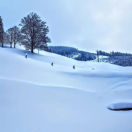 Ferienhaus Selbstversorgerhütte Nösslau Alm *