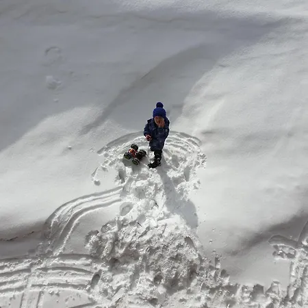 Дом отдыха Selbstversorgerhuette Noesslau Alm Динтен-ам-Хохкёниг