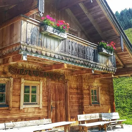 Selbstversorgerhuette Noesslau Alm Динтен-ам-Хохкёниг