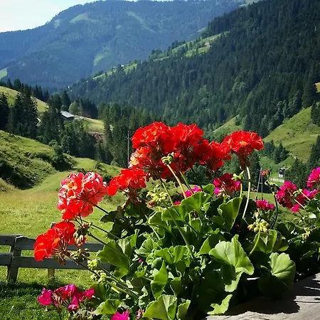 Selbstversorgerhuette Noesslau Alm Дом отдыха