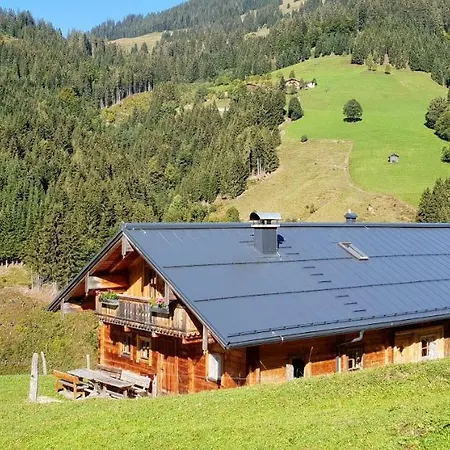 Дом отдыха Selbstversorgerhuette Noesslau Alm *