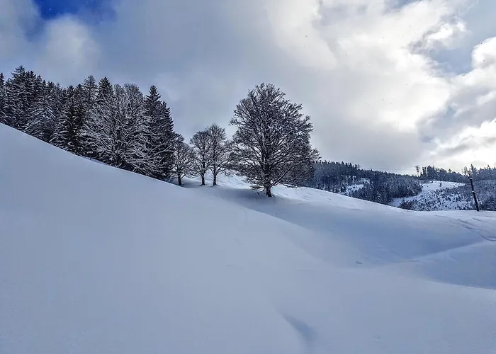 Selbstversorgerhuette Noesslau Alm 펜션 디엔텐암호크코니그