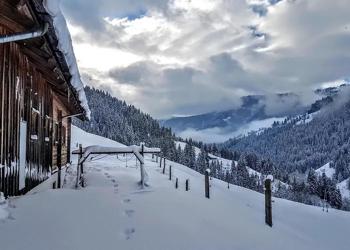 펜션 Selbstversorgerhuette Noesslau Alm 디엔텐암호크코니그