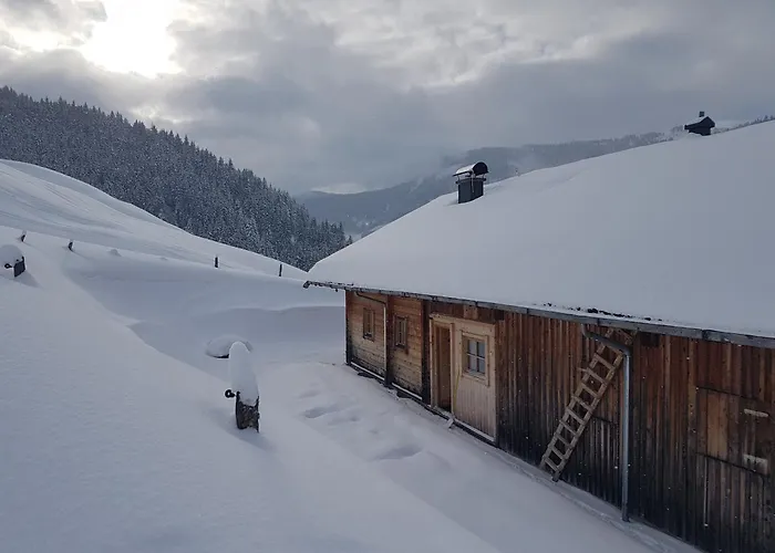 Selbstversorgerhuette Noesslau Alm 펜션 디엔텐암호크코니그