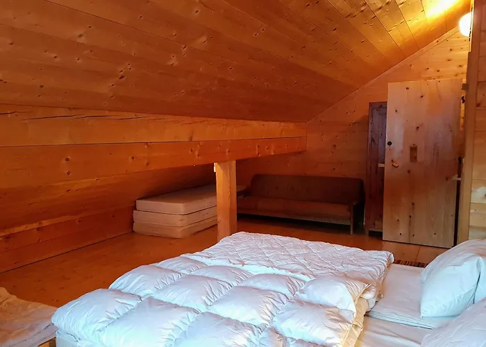 펜션 Selbstversorgerhuette Noesslau Alm *