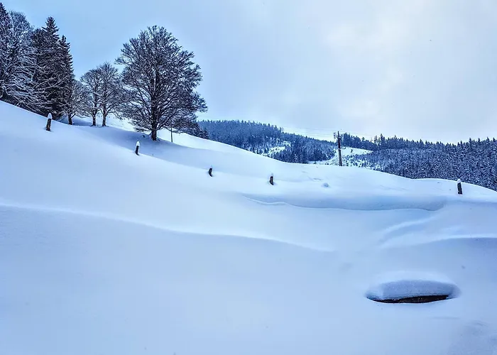 펜션 Selbstversorgerhuette Noesslau Alm *