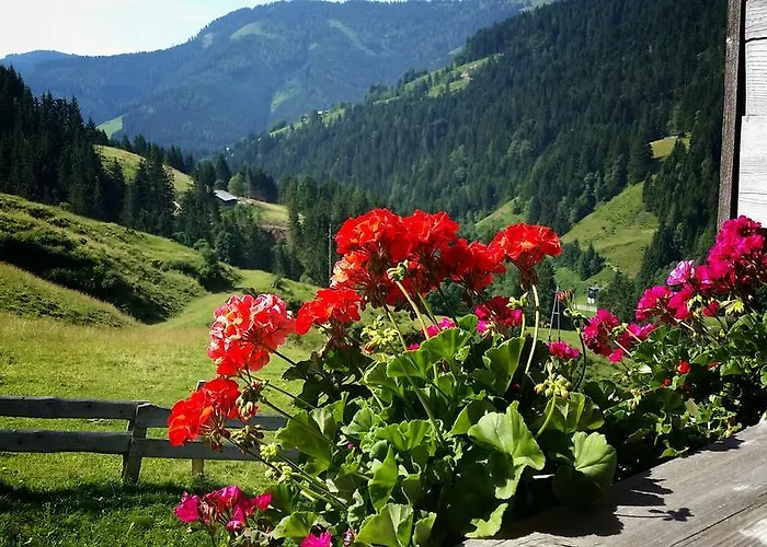 Selbstversorgerhuette Noesslau Alm 펜션